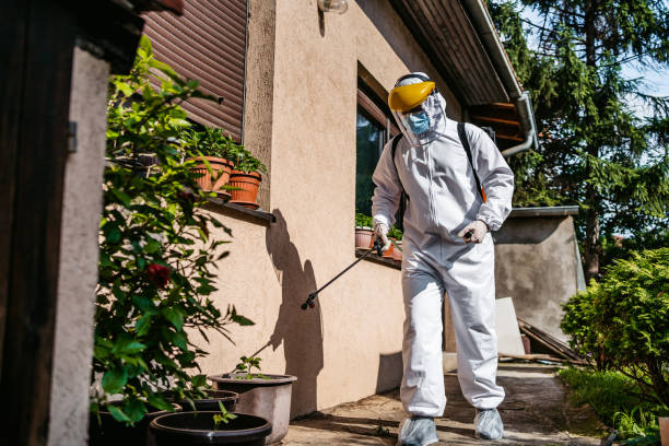 Best Termite Control Services  in Athens, MI