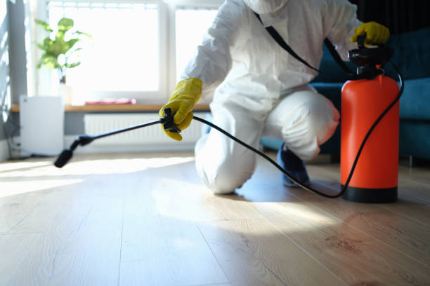 Best Flea Control Services  in Athens, MI