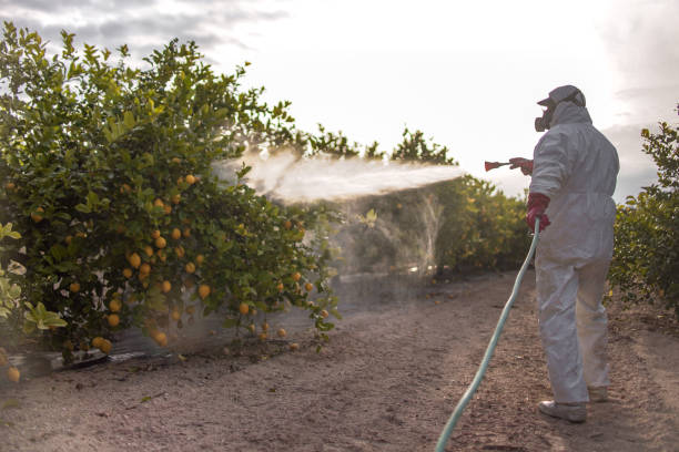 Best Best Pest Control Companies  in Athens, MI