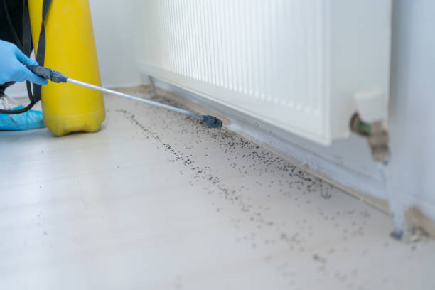 Best Bed Bug Extermination  in Athens, MI