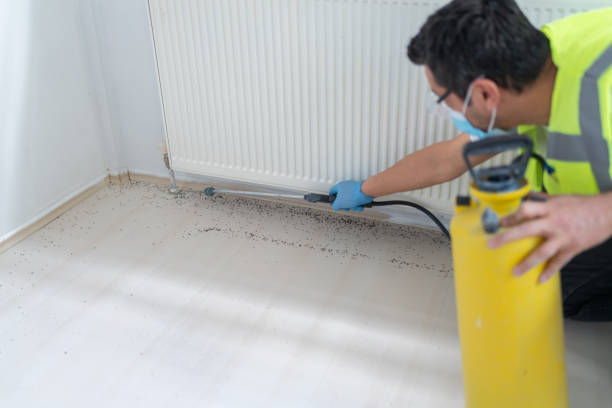 Best Cockroach Control Services  in Athens, MI